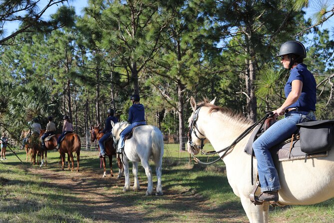 Guided Two Hour Horseback Trail Ride in Central Florida - Exploring Rock Springs Run State Reserve’s Boundaries