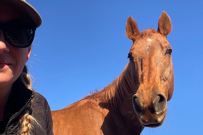 Guided Two Hour Horseback Trail Ride in Central Florida - Physical Requirements and Weather Considerations