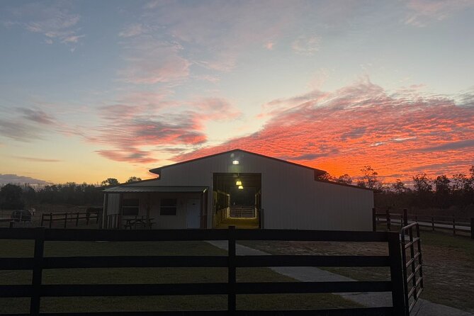 Guided Two Hour Horseback Trail Ride in Central Florida - Cost, Cancellation, and Additional Fees