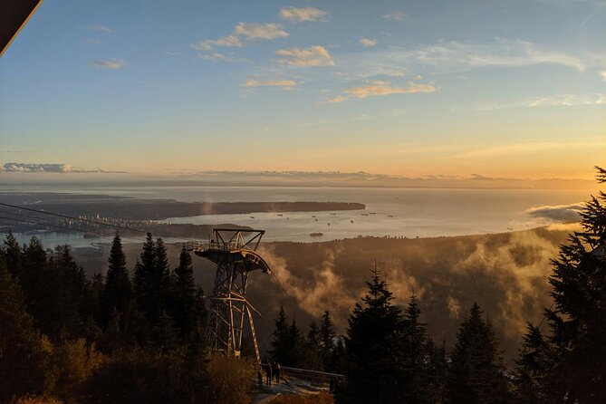 Guided Vancouver Hiking Highlights Day Tour with Gondola Download - The Gondola Download Ticket: Scenic Ride from the Mountain Top