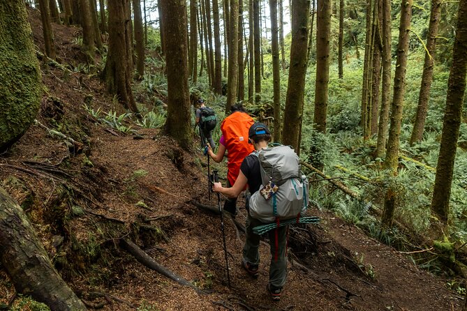 Guided Vancouver Hiking Highlights Day Tour with Gondola Download - Walking Through Lynn Canyon’s Suspension Bridge