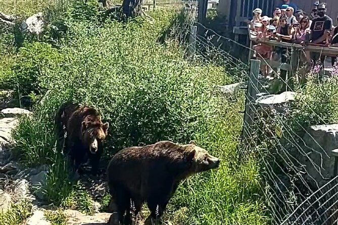 Guided Vancouver Hiking Highlights Day Tour with Gondola Download - Logistics and Group Size