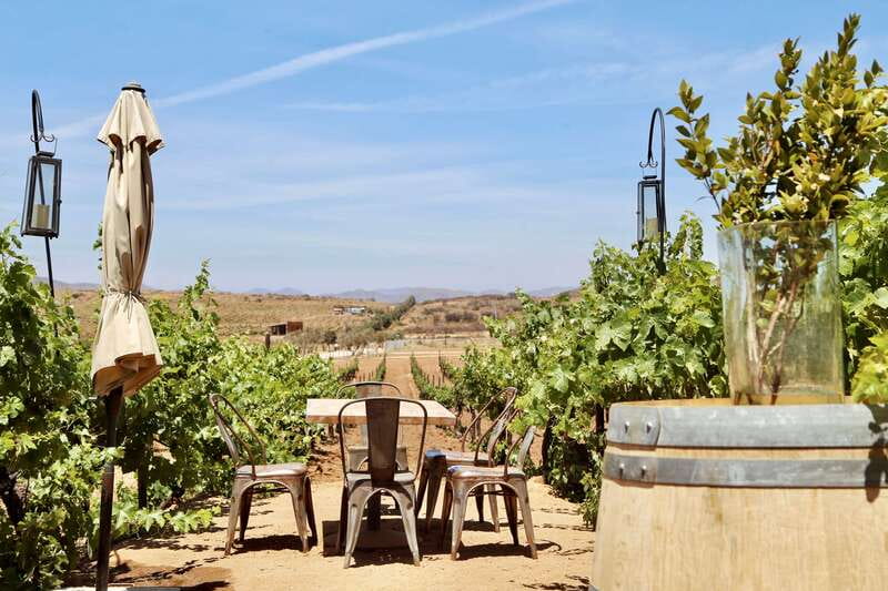 Guided Vineyard Tour with Wine Tasting at Rondo del Valle - The Setting: Private Gardens and Outdoor Tasting