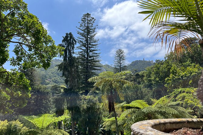 Guided Visit to Palacio da Regaleira - The Romantic Palace and Chapel: A Glimpse into 19th-Century Design