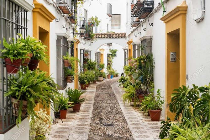 Guided visit to the Mosque and the Jewish Quarter of Cordoba - Accessibility and Group Size
