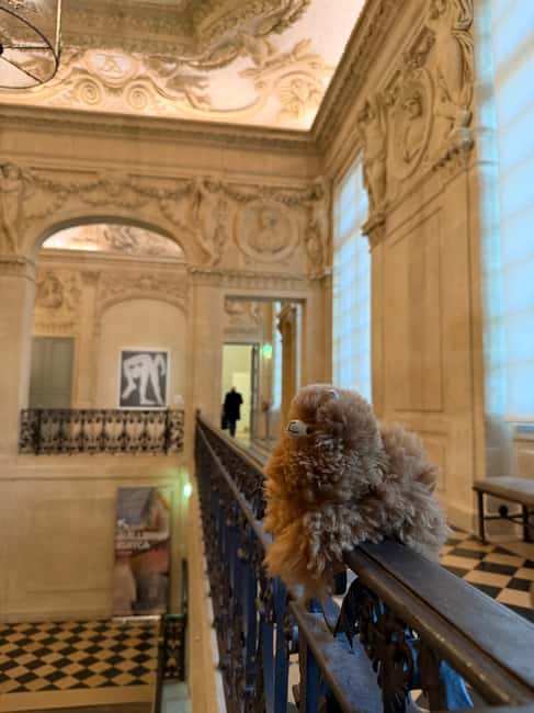 Guided Visit to the Museum of Picasso - Discover the Art and Life of Picasso in Paris