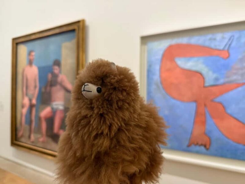 Guided Visit to the Museum of Picasso - Key Points