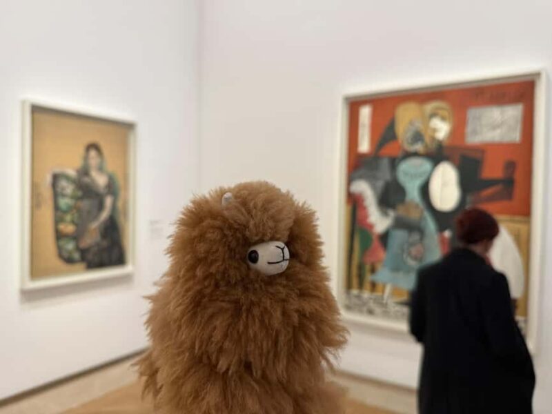 Guided Visit to the Museum of Picasso - Comparing This Tour to Other Picasso Experiences in Paris