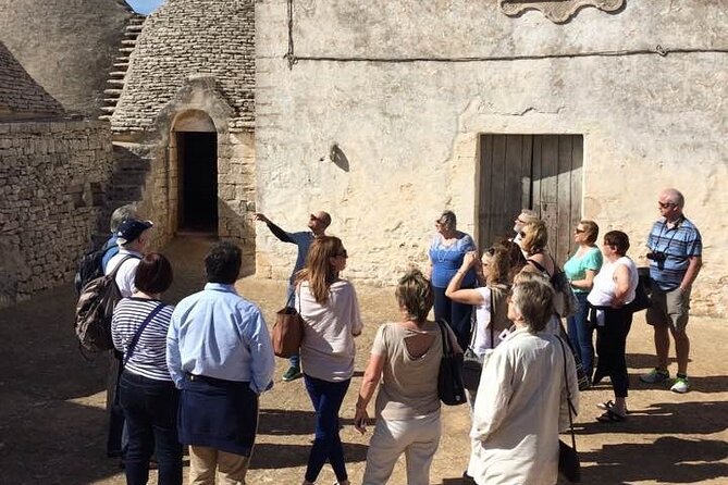 Guided Visit to the Vineyard with Wine Tasting - Key Points