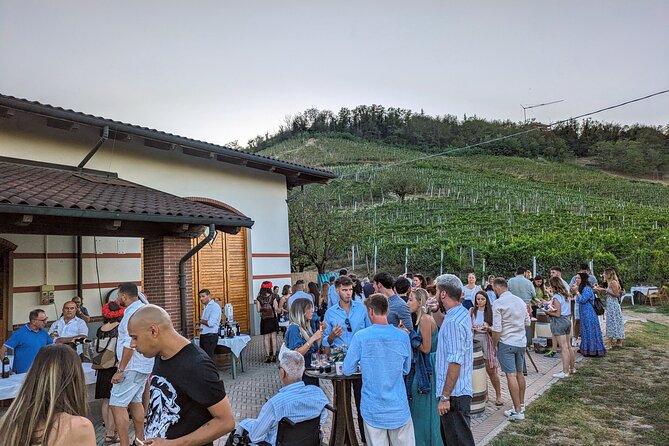 Guided Walk and Lunch in the Vineyard in Alba - Scenic Vineyard Walk with Historical and Cultural Insights