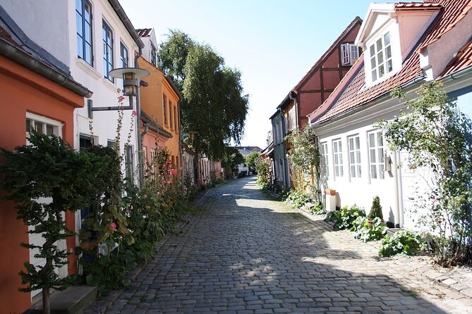 Guided Walking Tour in Aarhus - Mollestien: A Historic Street with Timeless Charm