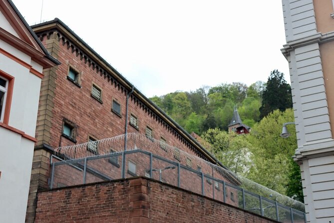 Guided Walking Tour in Heidelberg - The Iconic Brückenaffe for Good Luck