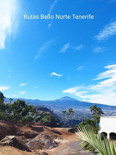 Guided walking tour in La Orotava 1:30 min, Tenerife - Exploring the Iglesia de la Concepción and Its Museum