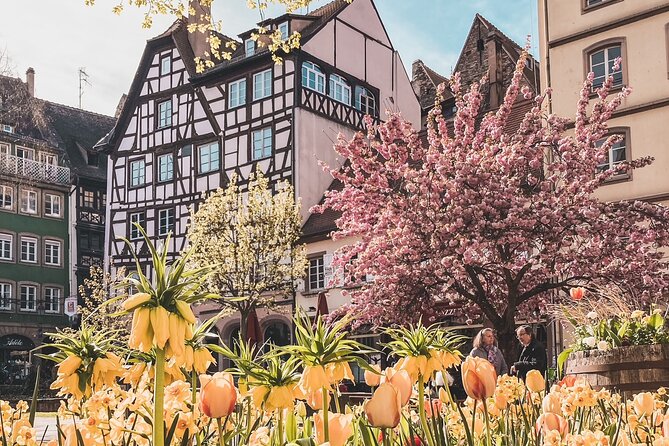 Guided Walking Tour in Strasbourg between History and Curiosities - Who Will Enjoy This Tour Most?