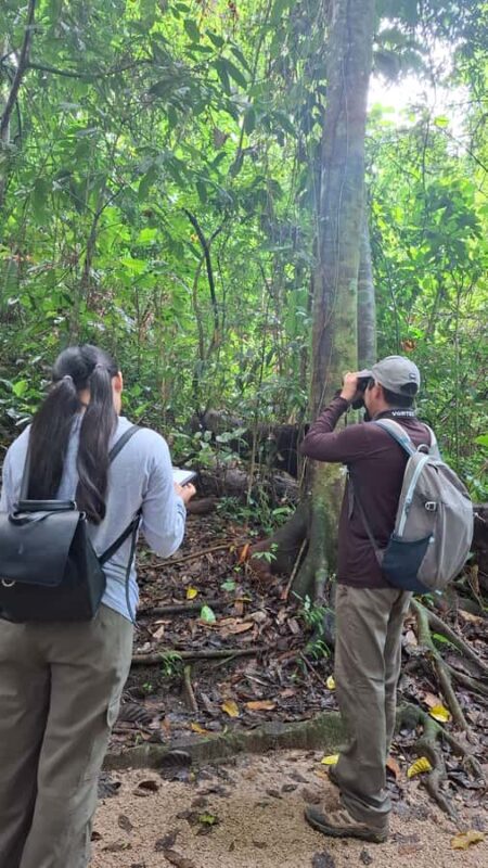 Guided walking tour in the Palenque jungle (Palenque National Park) - Discover Ancient Ruins and Jungle Biodiversity in Palenque