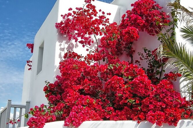 Guided Walking Tour Mykonos, Little Venice, Windmills, Beaches - Beaches and Coffee Break at Kalafatis