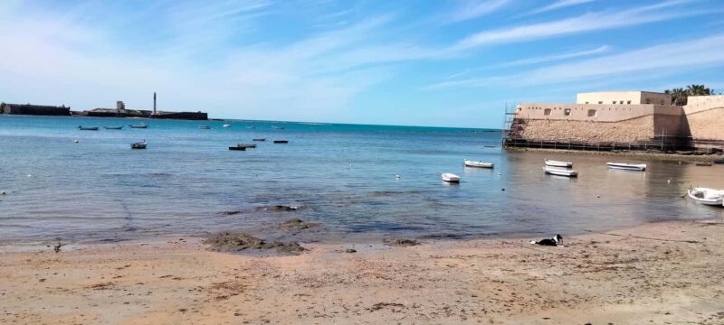 Guided walking tour of Cádiz: stories from a local guide - Value and Booking Flexibility
