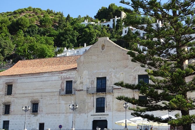 Guided Walking Tour of the Old Town of Frigiliana - The Guide’s Knowledge and Friendly Approach