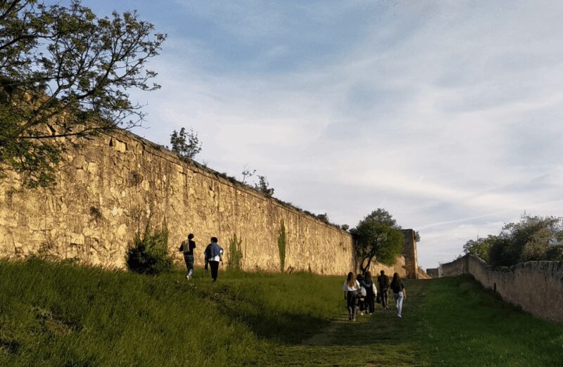 Guided Walking Tour on Verona Hillside - Starting at the Medieval Bridge Over the Adige River