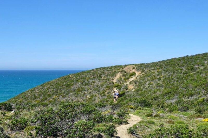 Guided Walk+Picnic: Western Algarve´s Wild Beauty - Exploring the Natural Wonders of Western Algarve with a Guided Walk and Picnic