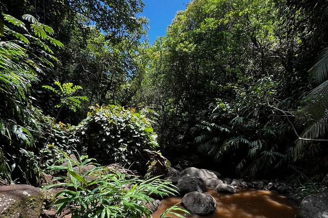 Guided Waterfall and Jungle Hiking Tour - Who Will Love This Tour?