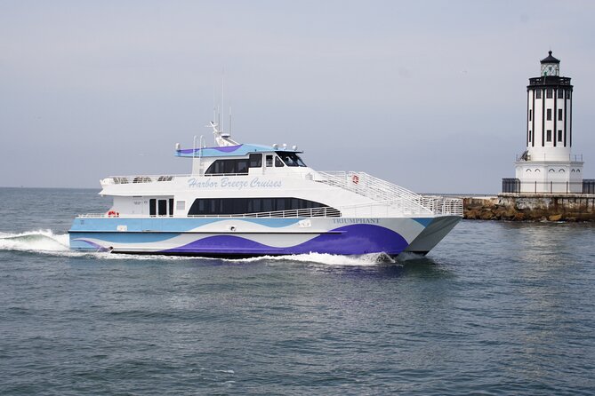 Guided Whale Watching Tour from Long Beach - Wildlife Sightings: What You Can Expect