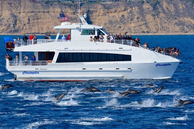Guided Whale Watching Tour from Long Beach - The Experience and Pacing
