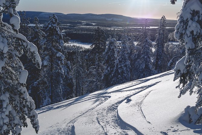 Guided Wilderness Skiing Tour In Pyhätunturi - The Meeting Point and Accessibility of the Tour