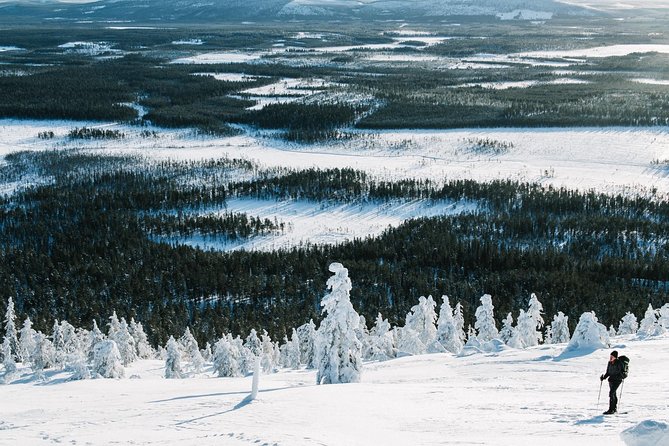 Guided Wilderness Skiing Tour In Pyhätunturi - The Guide and Route Flexibility