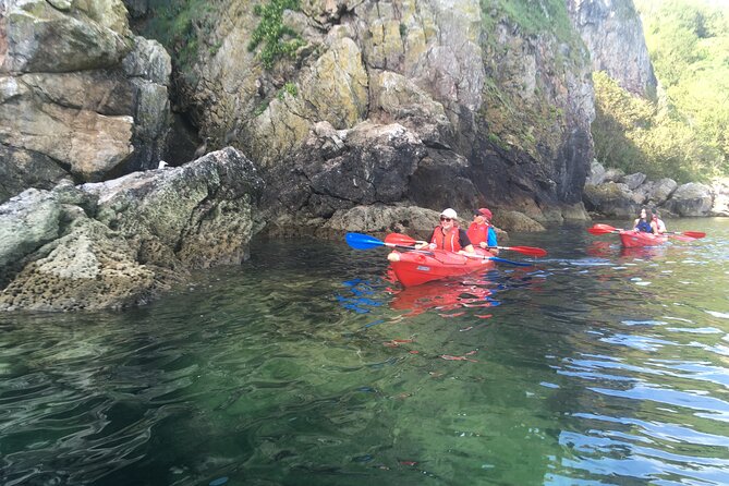 Guided Wildlife and Sea Cave Kayak Safari in English Riviera - The Guides Role: Knowledgeable and Friendly