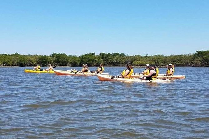 Guided Wildlife Eco Kayak Tour in New Smyrna Beach - What the Tour Includes