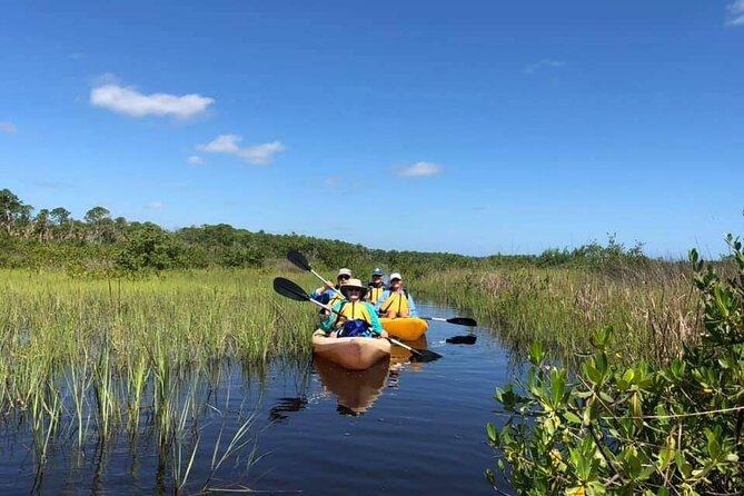 Guided Wildlife Eco Kayak Tour in New Smyrna Beach - The Balance of Expectations and Real Wildlife Sightings
