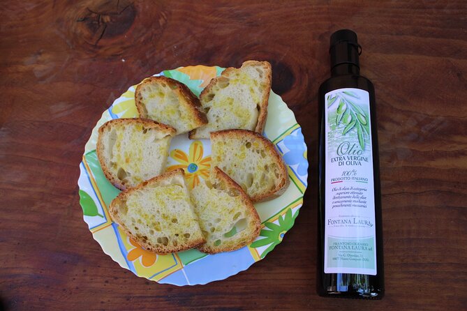 Guided Wine Tasting Experience in a Roman Vineyard - Exploring the Vineyard and Its Surroundings