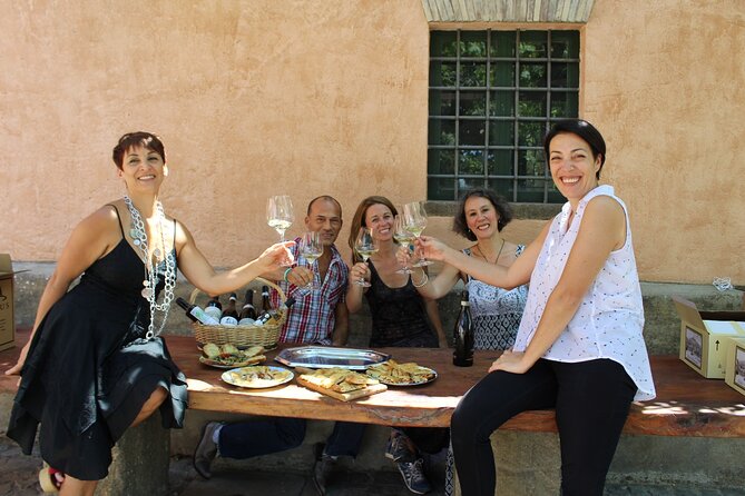 Guided Wine Tasting Experience in a Roman Vineyard - Group Size and Booking Flexibility