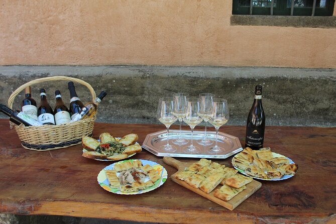 Guided Wine Tasting Experience in a Roman Vineyard - The Quality and Reception of the Tour