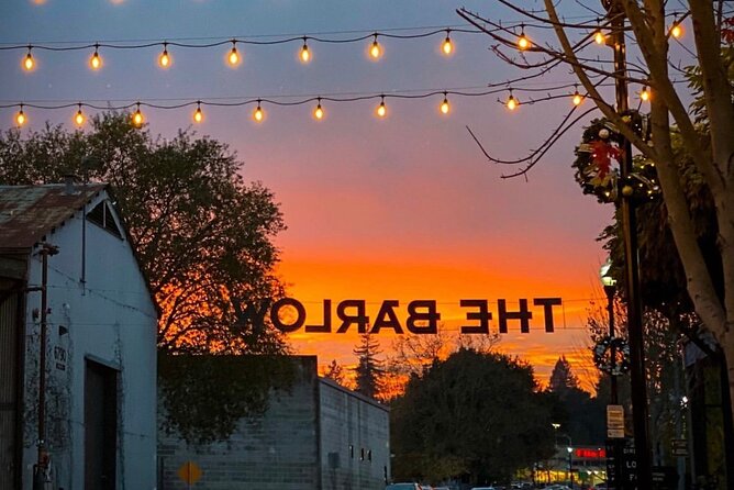 Guided Wine Tasting in Sebastopol with Local Sommelière - The Guide: Expertise and Personal Touch