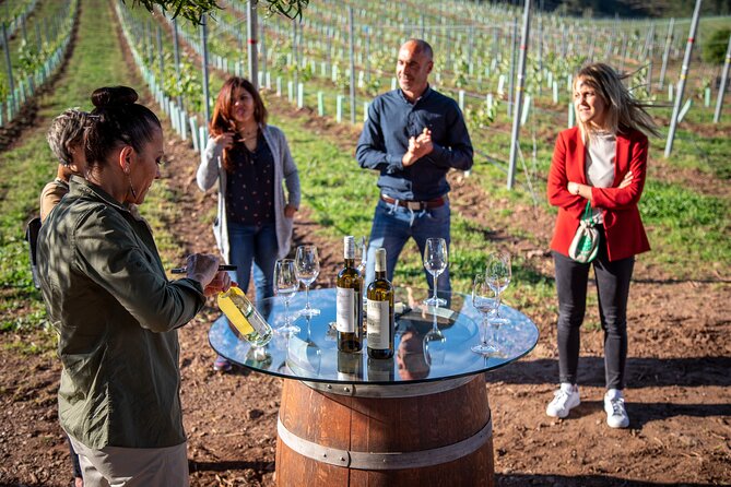 Guided Winery tour and Wine tasting in Pontevedra - Explore Galicia’s Rich Winemaking Heritage in Pontevedra