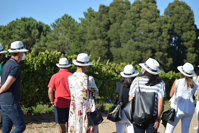 Guided Winery tour and Wine tasting in Pontevedra - Visiting a Leading Albariño Producer in Galicia