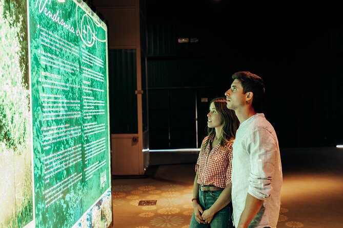 Guided Winery tour and Wine tasting in Pontevedra - The Guided Vineyard Tour and Scenic Views