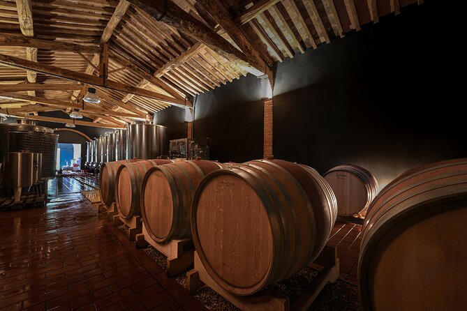 Guided Winery Tour and Wine Tasting in Siena - Inside the Cellar: From Grape to Wine