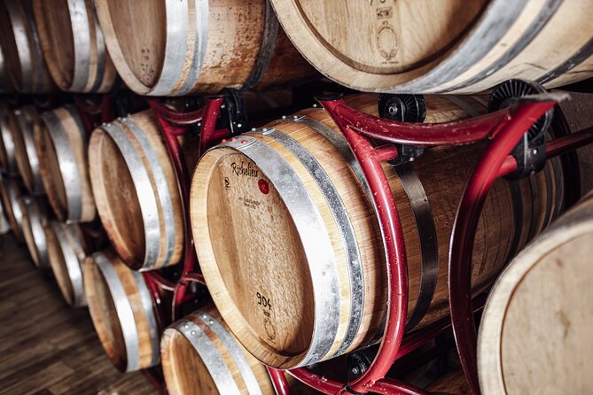 Guided winery tour with tasting in Bolzano at the SKYWINE PAVILLON - Multilingual Tours and Dog-Friendly Policy