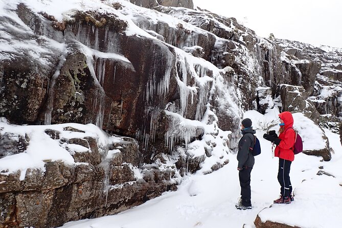 Guided winter hike to Pulpit Rock Preikestolen - Booking and Cancellation Flexibility