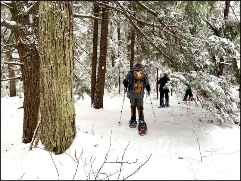 Guided Winter Snowshoe Adventure from Boston - Logistics and Practicalities