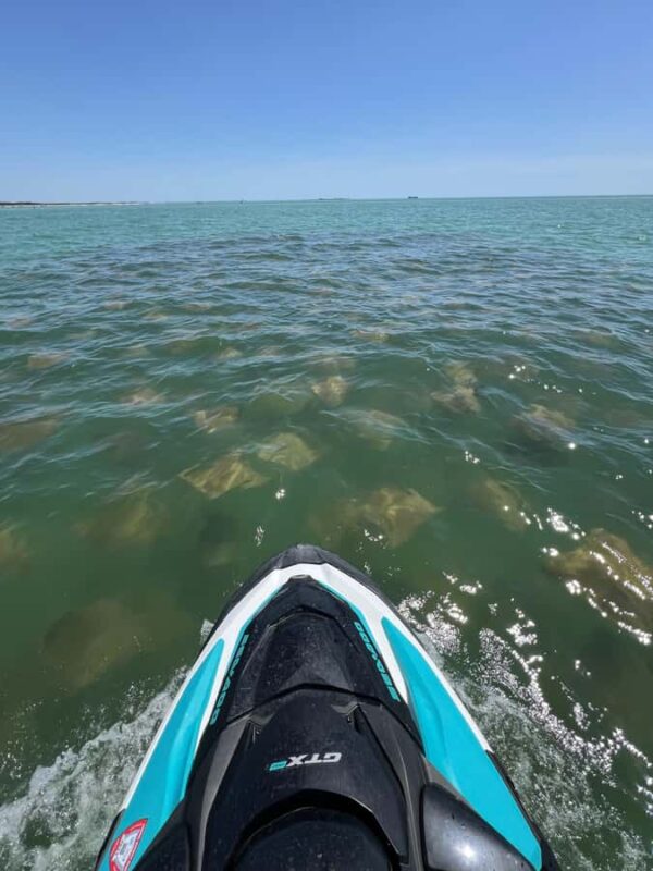 Gulf of Mexico: Guided Jet Ski Tour with Dolphin Watching - Unique Features That Set This Tour Apart