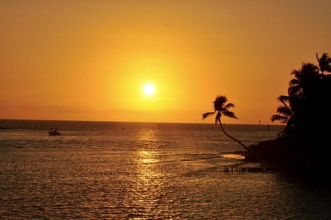 Gulf of Mexico Sunset Cruise from Naples - Discover the Gulf of Mexico Sunset Cruise from Naples