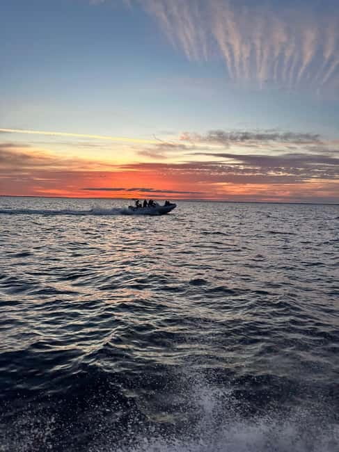 Gulf of Morbihan cruise with/without stopover on Île-aux-Moines - Discover the Gulf of Morbihan on a 3-Hour Guided Cruise