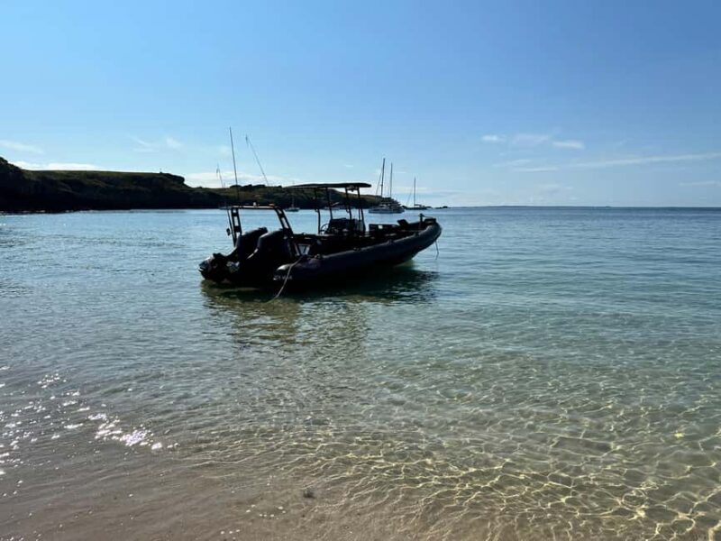 Gulf of Morbihan cruise with/without stopover on Île-aux-Moines - Speed and Discovery: The Perfect Balance
