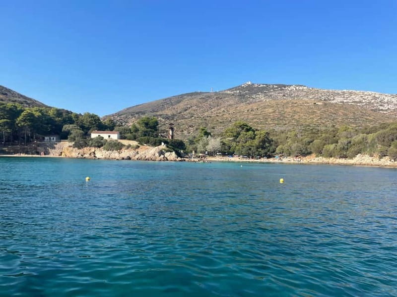 Gulf of Olbia: Dolphin watching by dinghy - Exploring the Dolphin Habitat Near Figarolo