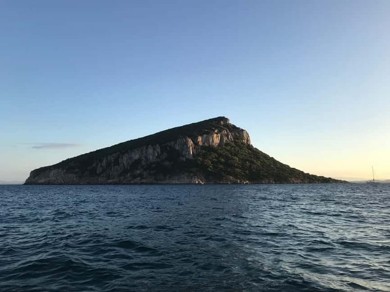 Gulf of Olbia: Dolphin watching by dinghy - Logistics: Meeting Point and Accessibility