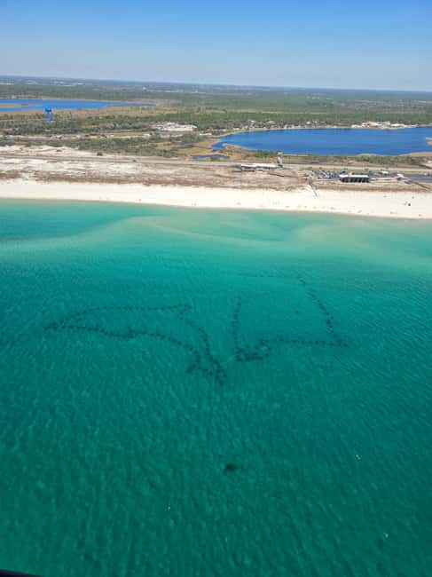 Gulf Shores, Orange Beach: 30-Minute Helicopter Tour - Cruising Over the Islands, the Wharf, and Pirate’s Cove